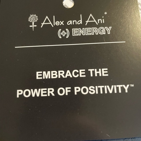 Alex and Ani Silver Positivity Charm Bracelet - Picture 2 of 2
